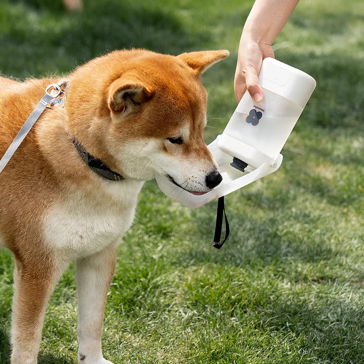 Dog Portable Water Bottle