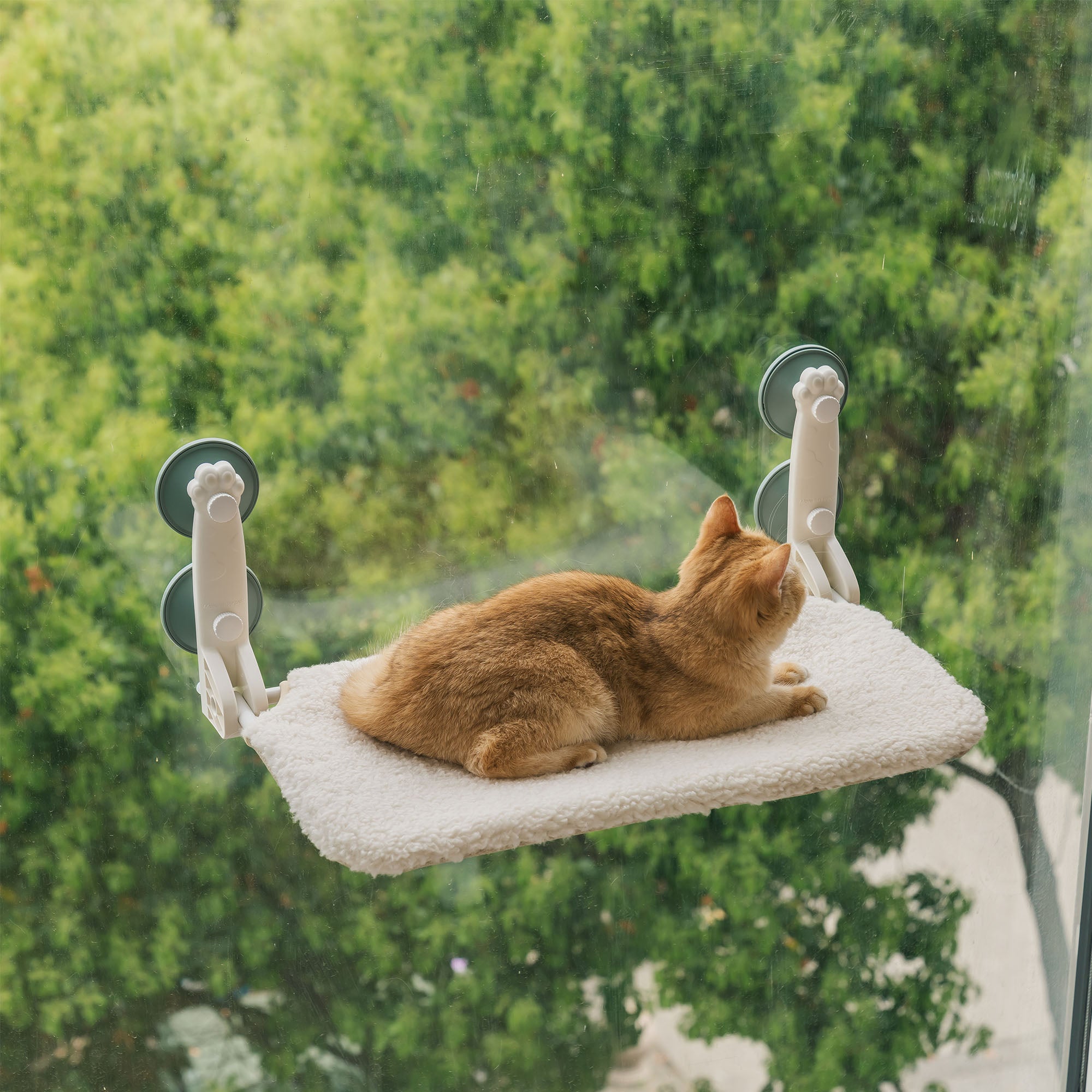 Foldable Suction Cup Cat Hammock